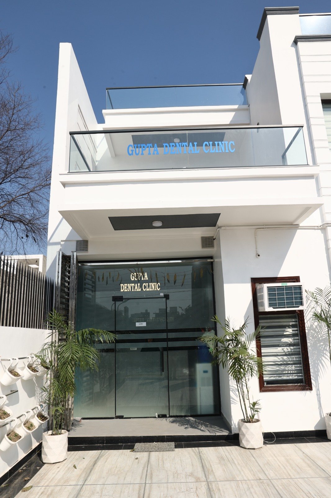 Clinic Entrance & Glass Facade